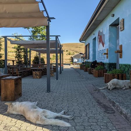 Rifugio Silone Vandrarhem Pescina Exteriör bild