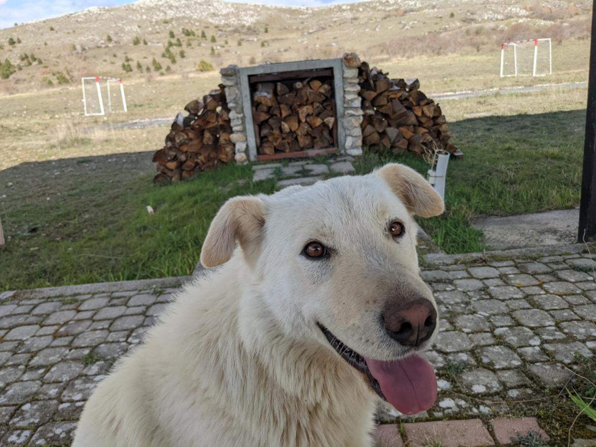 Rifugio Silone Vandrarhem Pescina Exteriör bild
